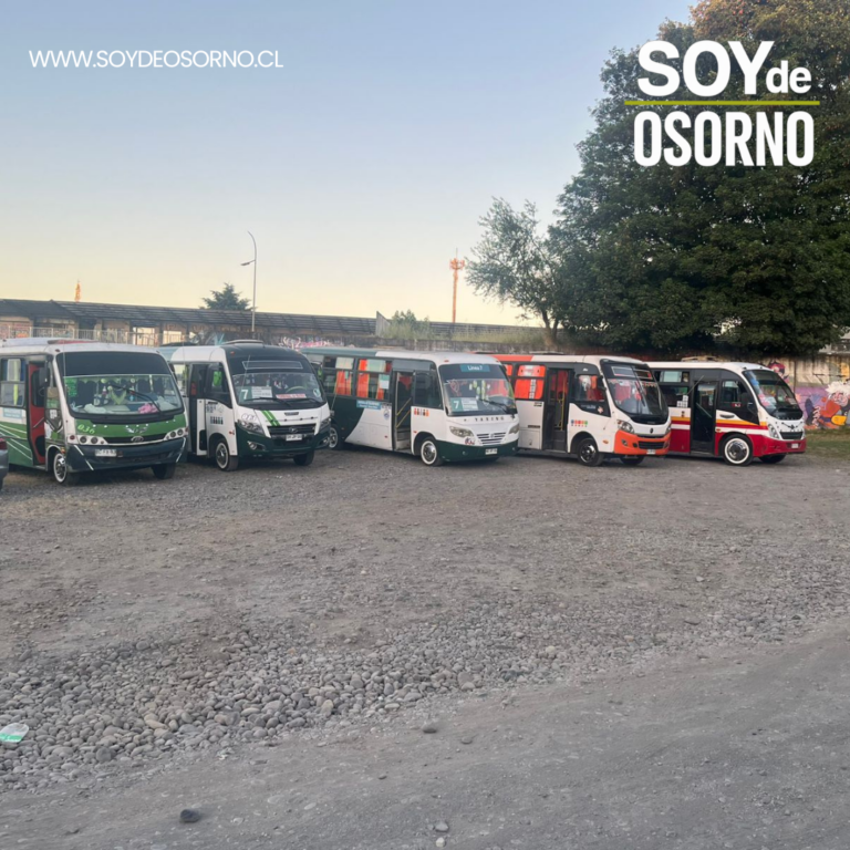Micreros de Osorno realizarán caravana navideña para repartir dulces en distintos sectores de la ciudad