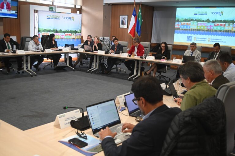 Consejo Regional de Los Lagos aprueba el Plan Patagonia Verde 2.0 con una inversión proyectada para los próximos diez años