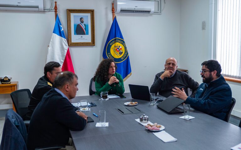 Avanza la implementación de la Política Nacional de Construcción Naval en la región de Los Lagos