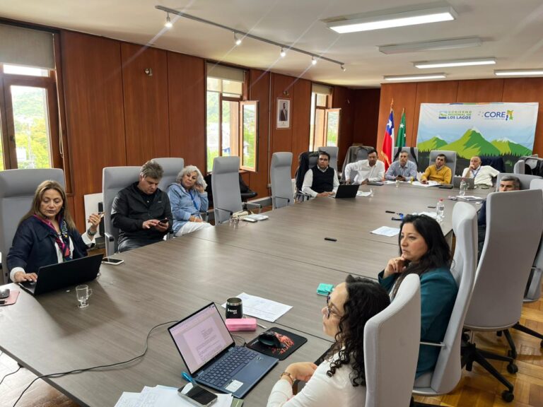 Comisión de Salud del CORE acuerda sesión conjunta en Río Negro para abordar prioridades de la provincia de Osorno