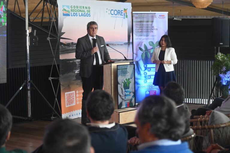 GORE Los Lagos lanza Programa de Emprendimientos Cooperativos para fortalecer el desarrollo económico regional