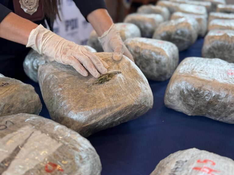 Operación Centinela Austral: PDI desarticula estructural criminal en el sur e incauta 62 kilos de droga