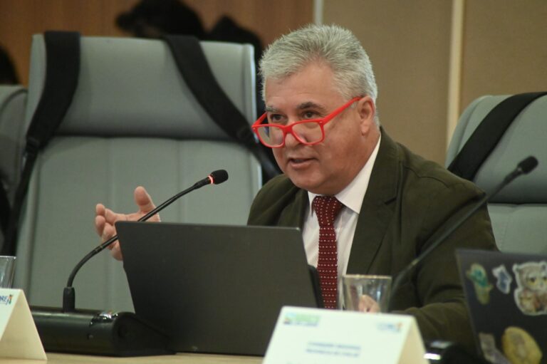 Consejero Gallardo solicita enviar oficio al Ministerio de Obras Públicas, por demora en proyecto de asfaltado del camino Quellón Viejo-Trincao