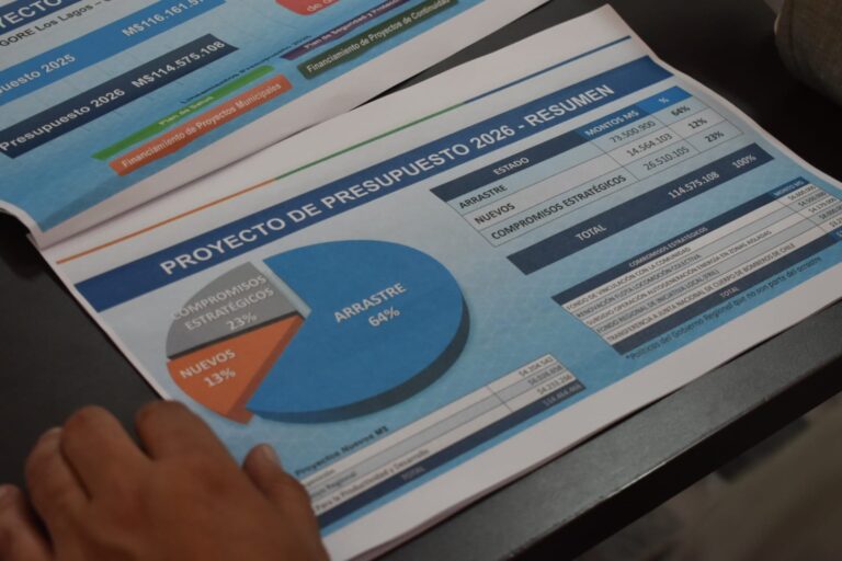 Consejeros regionales y alcaldes de la provincia de Osorno definen proyectos que serán financiados por el Gobierno Regional el 2026