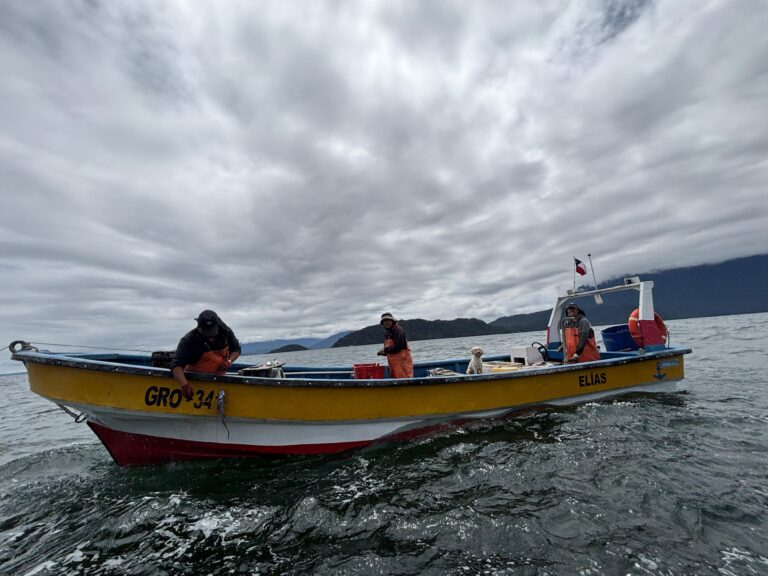 Gobierno cumple compromiso y delegación de expertos de la Universidad Marítima de Shanghái visita Hualaihué para abordar desafíos entre pesca artesanal y mamíferos marinos