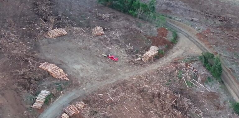 PDI detiene a tres personas por sustracción de madera en La Unión