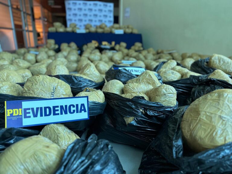 Operación Cielo Austral: PDI logra el mayor decomiso de cannabis del sur del país
