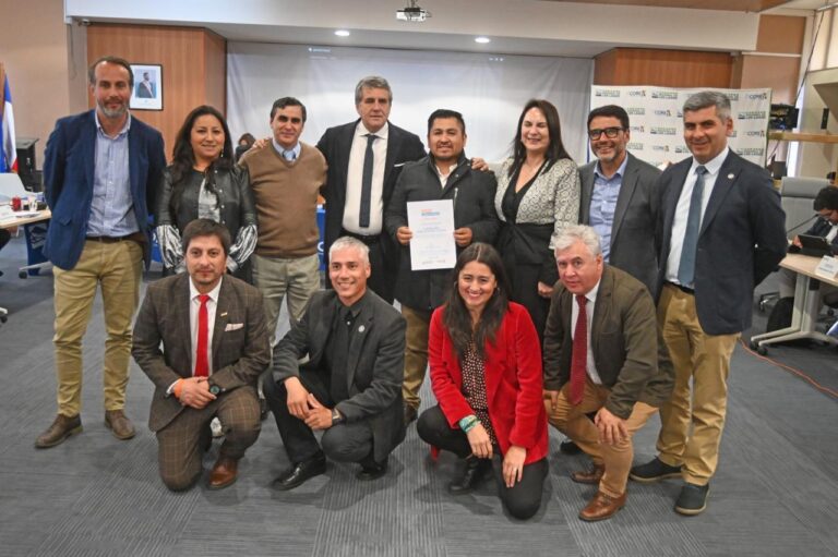Consejo Regional aprueba recursos para fortalecer la inclusión educativa de estudiantes con discapacidad intelectual en Puerto Montt