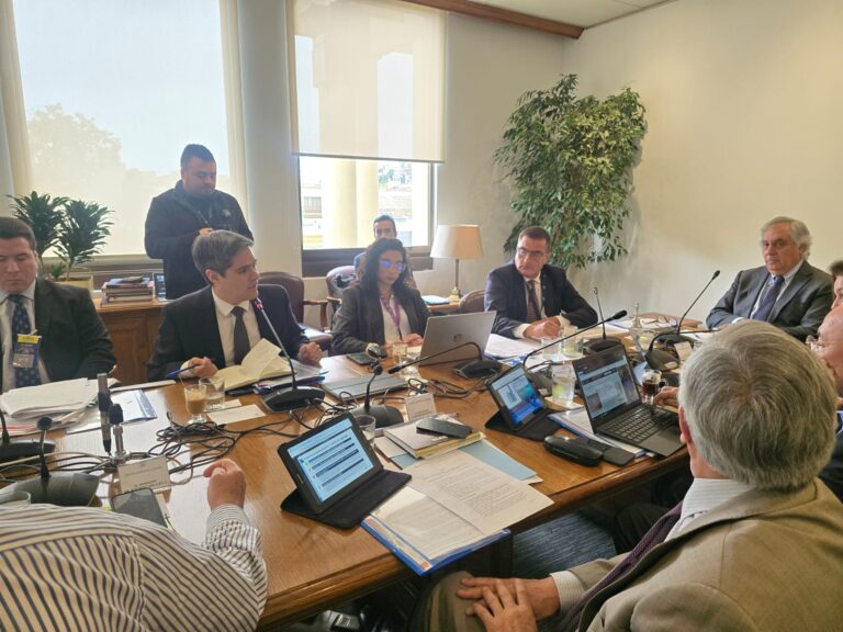Proyecto de ley que perfecciona los sistemas medianos es aprobado por unanimidad en la Comisión de Minería y Energía del Senado