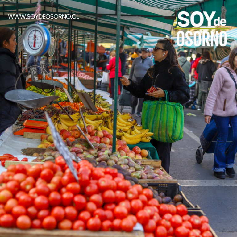 Proyecto que reconoce a las ferias libres avanza a su último trámite.