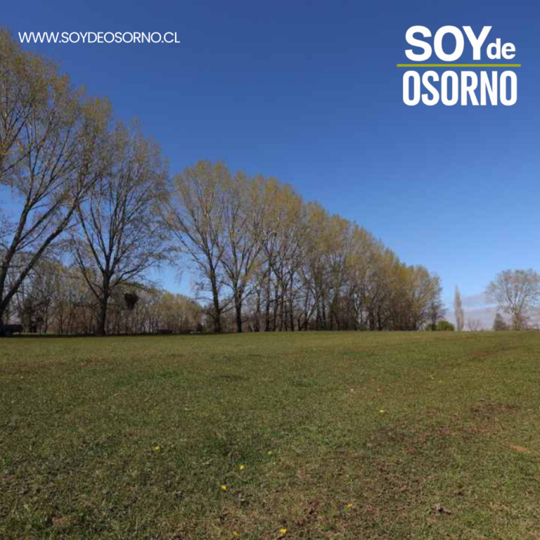 SAG habilita nuevo sistema informático para el trámite de subdivisión de predios rústicos.