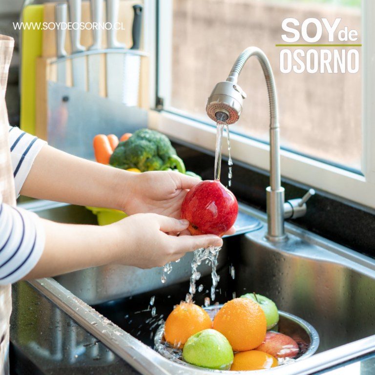 Autoridades refuerzan llamado a prevenir intoxicaciones alimentarias durante el verano.