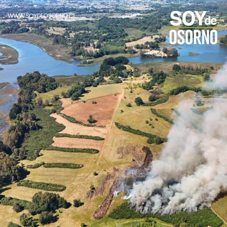 CONAF reporta 62 incendios forestales en Los Ríos durante la temporada 2025-2026: no hay focos activos actualmente