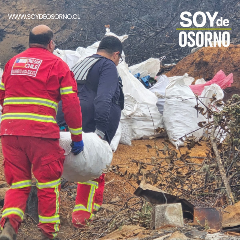 ONG SAR Chile desplegó puesto de comando y atención médica en Villa Alegre: brindaron apoyo a más de 300 personas