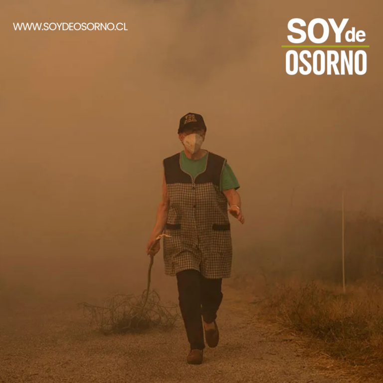 Minsal refuerza medidas de autocuidado ante incendios forestales: recomendaciones por humo, remoción de escombros y prevención del Hantavirus