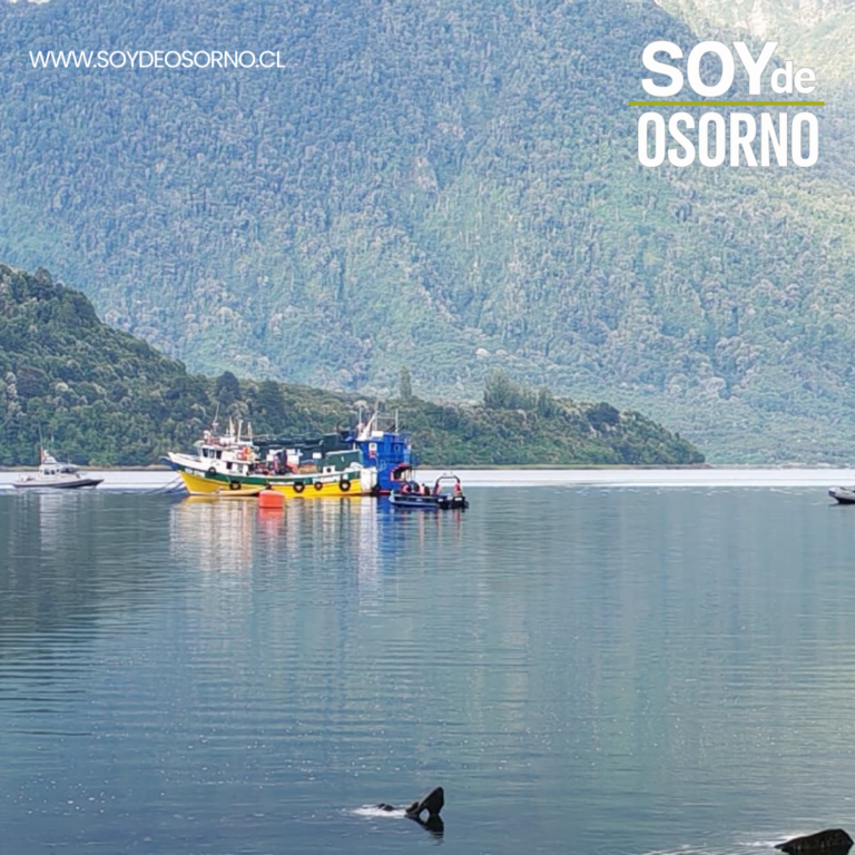 Buscan a seis tripulantes desaparecidos tras hundimiento de embarcación en Estuario de Reloncaví