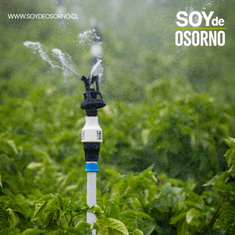 Corfo Los Lagos impulsa innovador modelo de Economía Circular que transforma residuos plásticos en sistemas de riego agrícola en la región