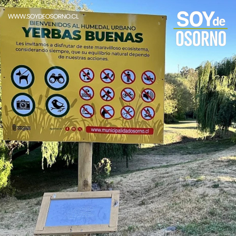 Municipalidad de Osorno invita a ecotour guiado en Damas Centro por el Día Mundial de los Humedales