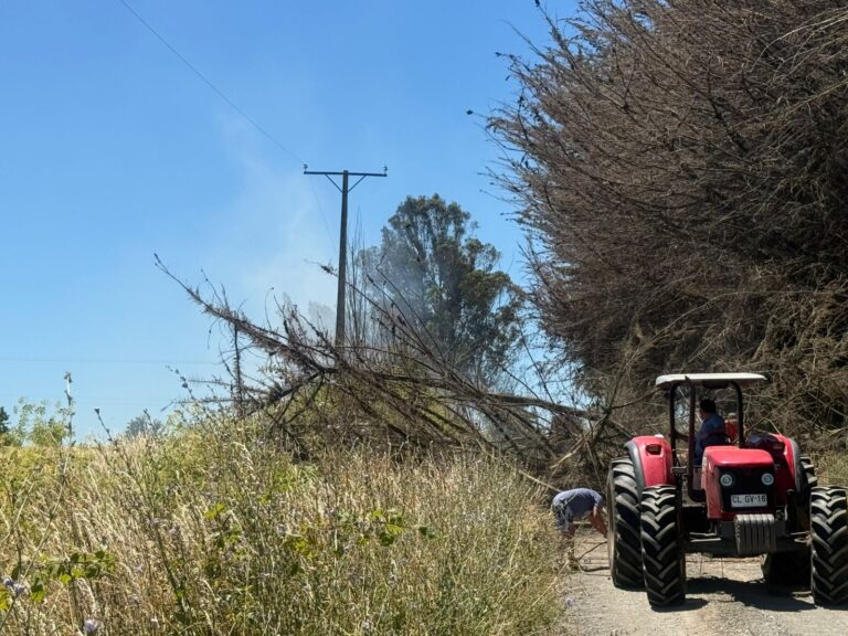 Comunidad Indígena Tralof Mapu acusa falta de respuesta de autoridades y advierte graves falencias en prevención de incendios