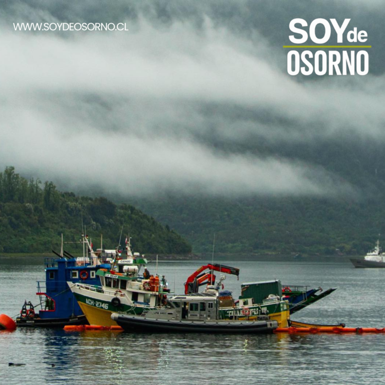Hallan el sexto y último cuerpo tras naufragio de catamarán en Ralún y concluyen labores de búsqueda