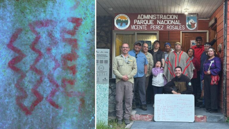 Avanza identificación y protección del patrimonio cultural en el Parque Nacional Vicente Pérez Rosales