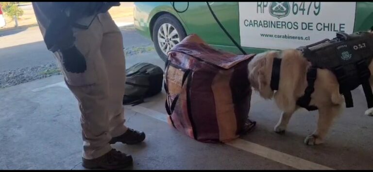 Decretan prisión preventiva a imputado por tráfico de 9 kilos hoja de coca