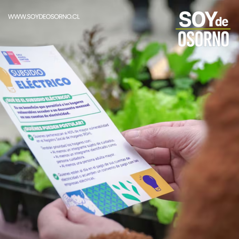 Resultados del Subsidio Eléctrico se conocerán en los próximos días: revisa fechas y montos del beneficio