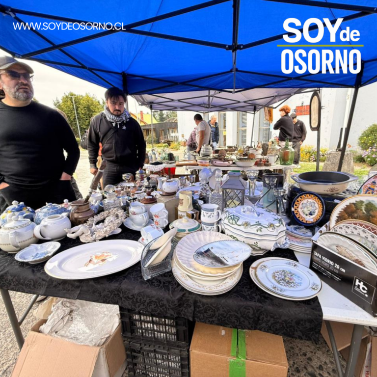 Feria de Antigüedades reunió a 15 expositores en la Costanera de Frutillar