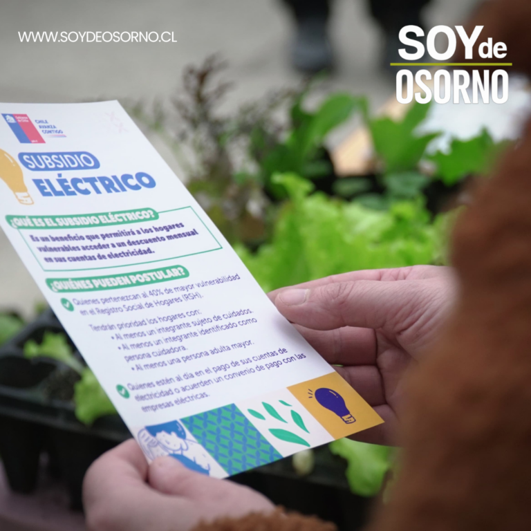 Más de 90 mil hogares de la región de Los Lagos son beneficiados con el Subsidio Eléctrico en la Cuarta Convocatoria