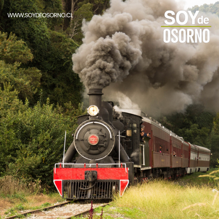Gobierno confirma regreso del tren turístico Valdivia–Antilhue, pero solo con viajes programados hasta febrero