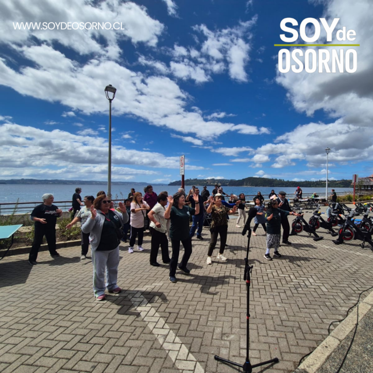 Con gran participación se realizó Jornada Activa para Personas Mayores organizada por el CEDIAM de Chonchi.