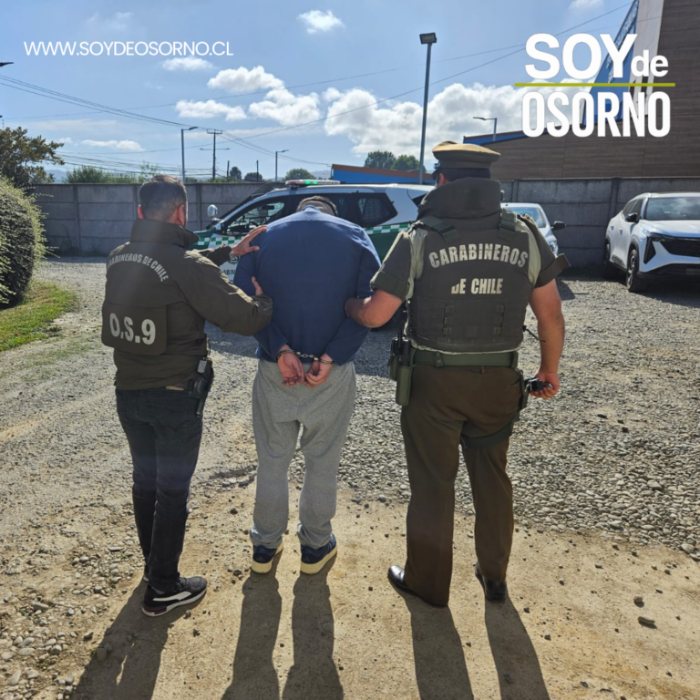 Amplio operativo por homicidio en Puerto Varas: detienen en Valdivia a presunto autor y a tres mujeres con droga y arma