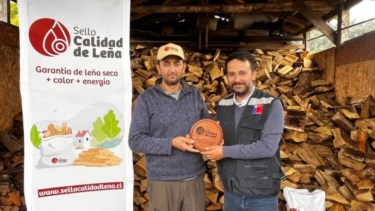 Más de 300 millones de pesos invirtió el Ministerio de Energía en proyectos para fomentar el mercado formal de leña seca en la región de Los Lagos