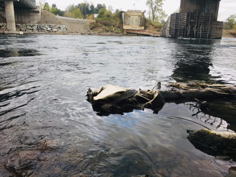 Invierten $63 millones en mejoras para la Planta de Tratamiento de Cancura en Osorno