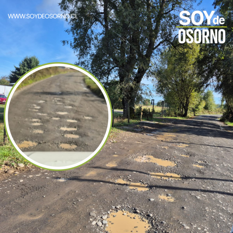 Vecinos denuncian abandono del Callejón Urzúa en Osorno: Acusan camino en malas condiciones