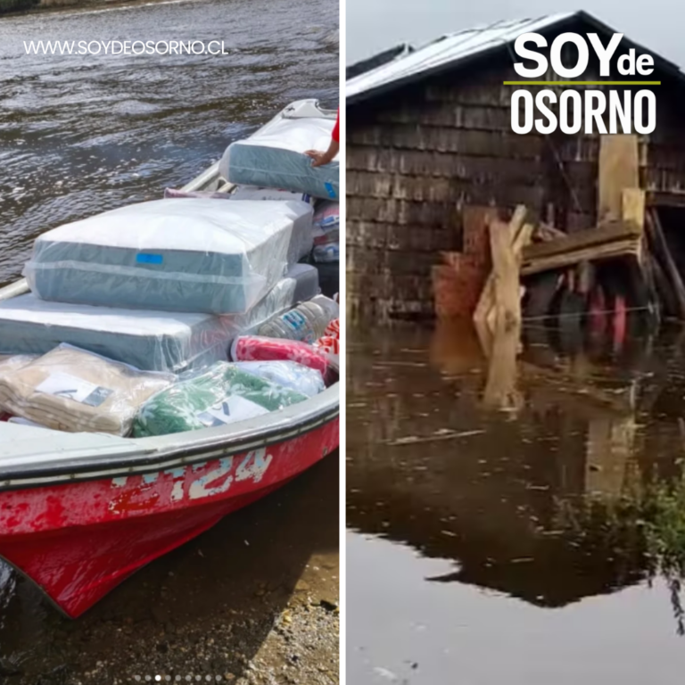 Purranque: 4 casas quedan inundadas por crecida del Río San Pedro