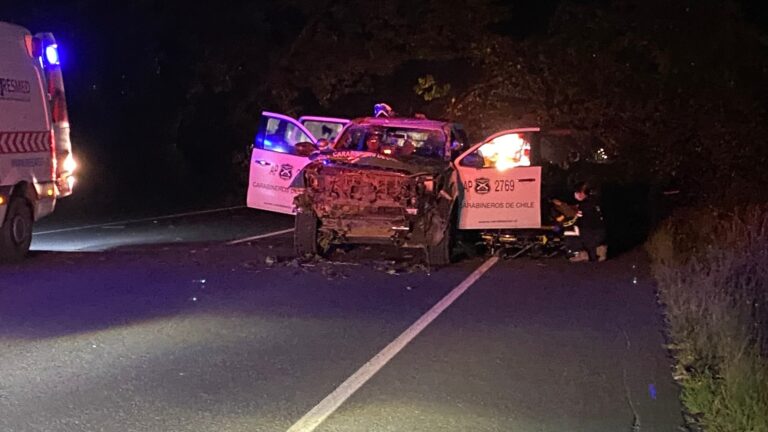 Álamo cae sobre vehículo policial y deja tres carabineros lesionados en la ruta 215