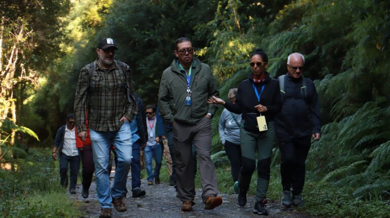 Científicos analizan ADN del agua en el Parque Alerce Andino para crear modelo pionero que conecte turismo y conservación