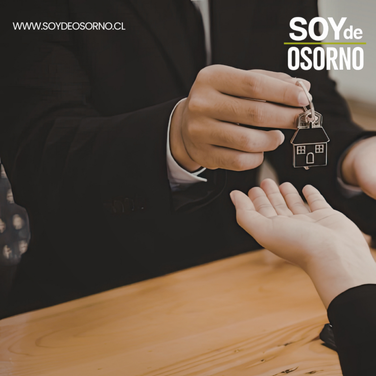 Subsidio de arriendo 2025: Ya se encuentran disponibles los resultados