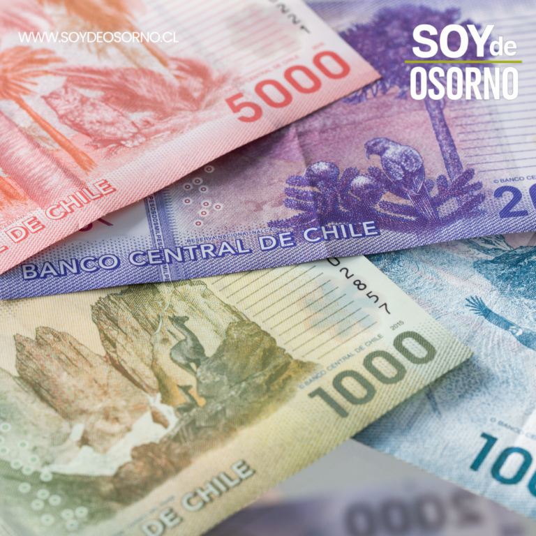 Bono Escolar: segundo pago de junio entregará más de $44 mil por carga familiar