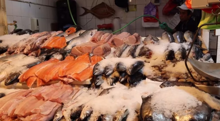 Autoridades refuerzan llamado a prevenir intoxicaciones por consumo de mariscos en Semana Santa