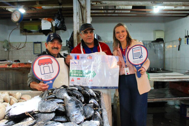 Autoridades refuerzan fiscalización de pescados y mariscos en Puerto Montt previo a Semana Santa