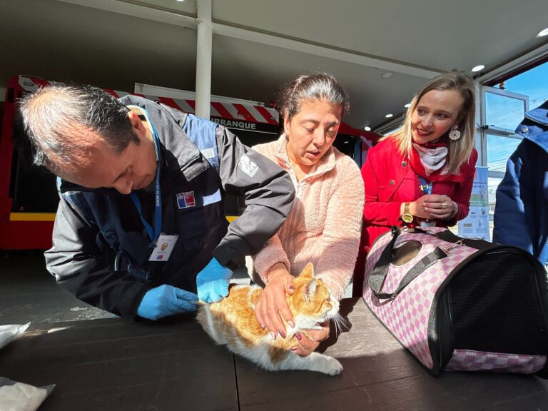 Seremi de salud realiza operativo de vacunación antirrábica en Purranque tras hallazgo de murciélago positivo a rabia