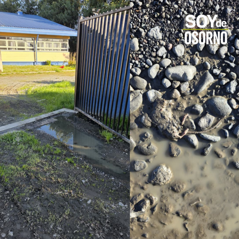 Familias denuncian problemas sanitarios en Escuela Agroecológica de Pichil