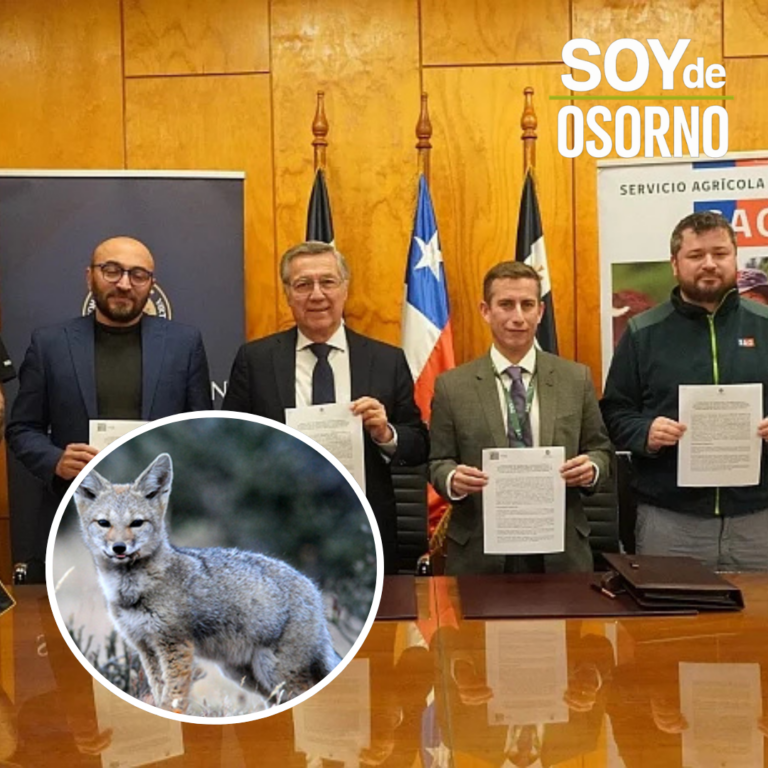 SAG Los Lagos y Universidad San Sebastián sellan alianza para reforzar protección de fauna silvestre regional