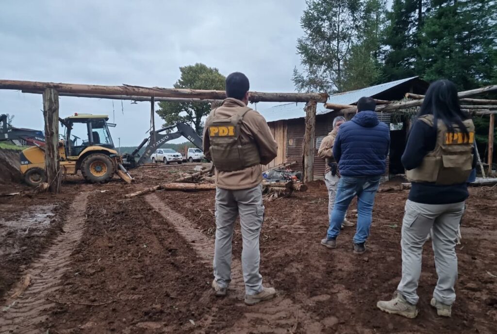 PDI detuvo a dos personas por usurpación y sustracción de madera en ...