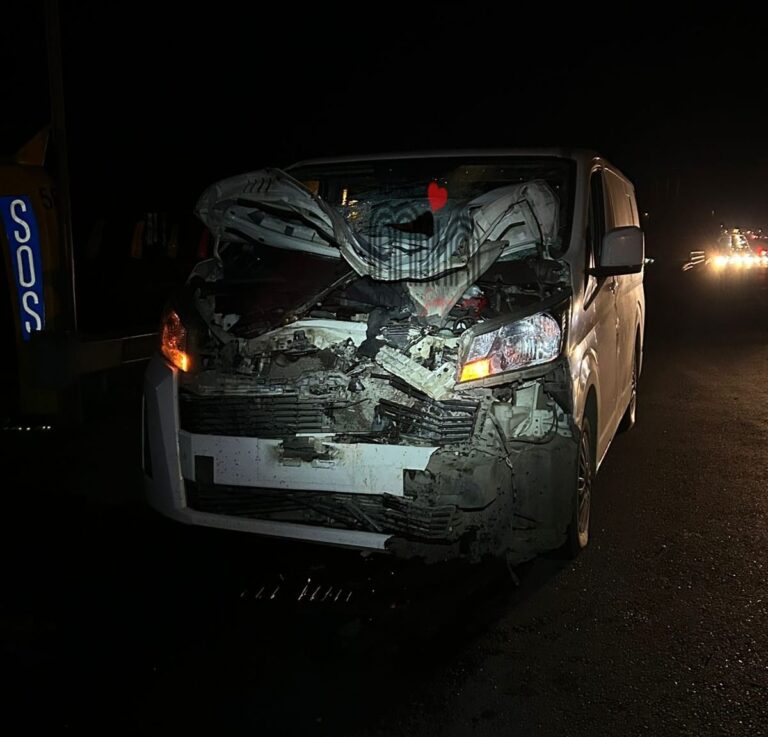 Persona adulta mayor falleció tras ser atropellada en la Ruta 5 Sur, a la altura de Rafulco