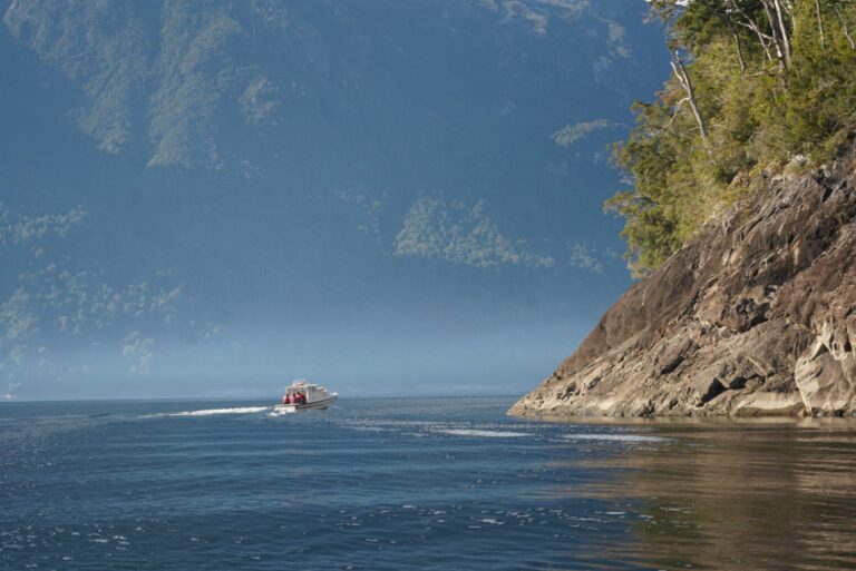 Comisión de Medio Ambiente del CORE Los Lagos realizó visita en terreno a Lago Chapo para monitorear daño ambiental y plan de reparación