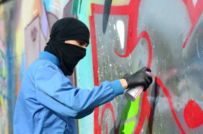 Proponen endurecer sanciones para proteger espacios públicos y mejorar la convivencia ciudadana