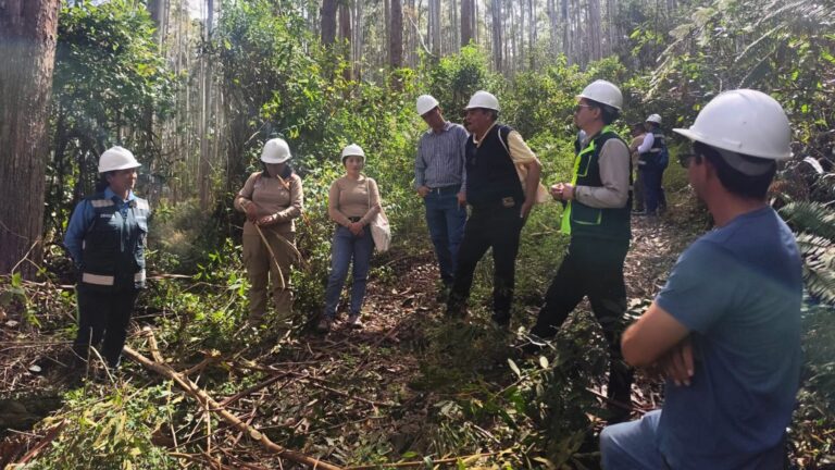 CONAF y SERFOR de Perú refuerzan trabajo conjunto para impulsar el desarrollo forestal sostenible